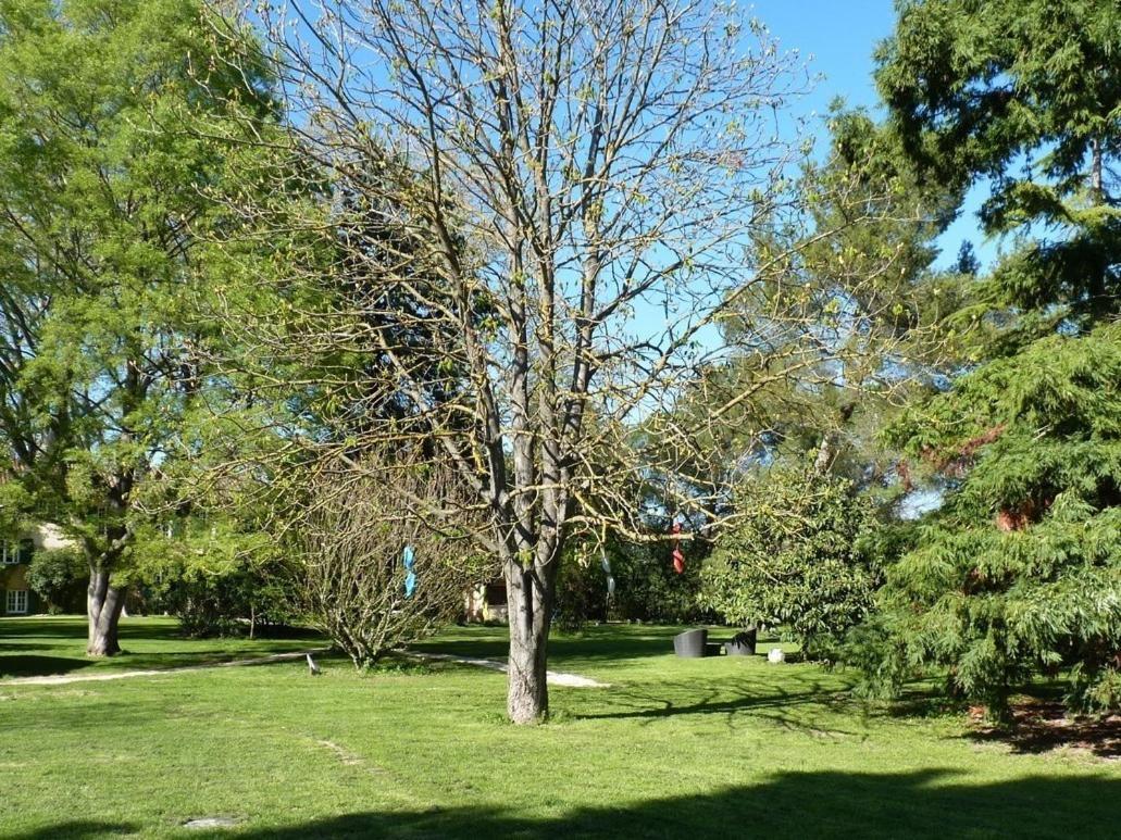Domaine De Rhodes B&B Avignon Ngoại thất bức ảnh